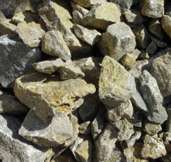 Muschelkalk Muschelkalk